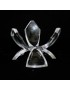 Lot "Tulip"x12